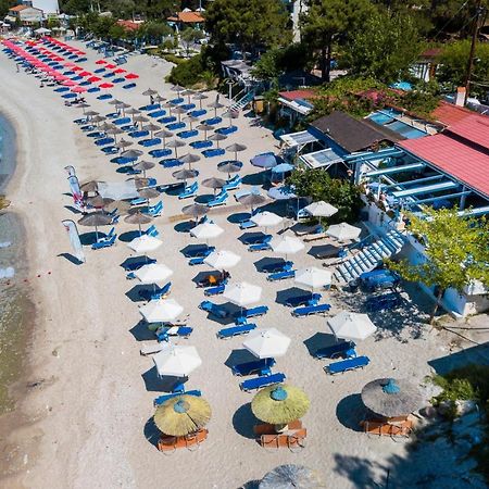 Green Velvet Thassos ペフカリ エクステリア 写真